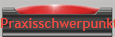 Praxisschwerpunkte
